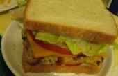 Quadratische Frühstücks-Sandwich