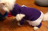 Gemütliche Pullover für Ihren Hund oder Katze