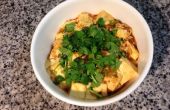 Wie erstelle ich authentische chinesische würzigen Mapo Tofu