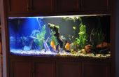 Ein weiterer - hohe Helligkeit LED (HBLED) Aquarium Lampe