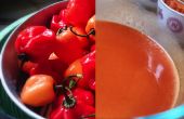 Hausgemachte Habanero Sriracha Sauce