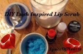 DIY üppigen inspiriert Lippe Scub