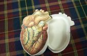 Anatomische Heart-shaped Box (für Ihre einzigartige Valentine.) 
