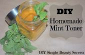 DIY natürliche hausgemachte Mint Toner für & schöne gesunde Haut