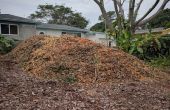 South Florida Boden Gebäude mit Mulch