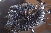 Machen Sie Ihre eigenen Ferrofluid in 5 Minuten