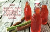 Honig & Erdbeer-Rhabarber fermentiert Soda