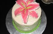Glutenfreie Kuchen mit Stargazer Lily