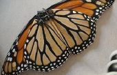 Monarch-Schmetterling Walkalong Glider