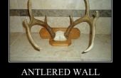Whitetail Deer Antlered Wandhalterung