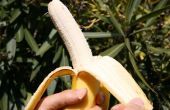 Wie man eine Banane wie ein Affe isst