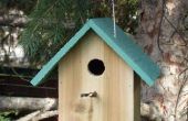 Die $2-Vogelhaus bauen