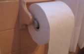 WC-Papier Kern Beschützer und EZ-Roller