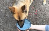 Klappbar/Portable Hundenapf Wasser