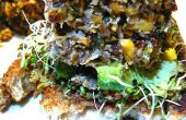 Pikante Tilapia Quinoa Burger verkrustet mit Mandel