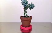 Mini 3D gedruckt Untertasse für unter Ihrem Mini Pflanzer/Topf