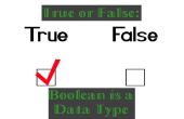 True oder False: Boolean ist ein Datentyp