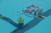 Einen Unterwasser-Roboter zu bauen