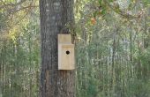 Die ultimative Schädlingsbekämpfung - ein einfaches Vogelhaus! 