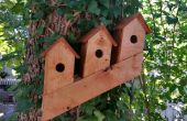 How to Build eine norwegische Vogel Eigentumswohnung aus einem 2 X 4