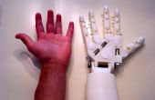DIY prothetische Hand & Unterarm (Voice Controlled)