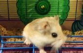 Hamster-Hack: Stummschaltung laute Rad - Recycling! 