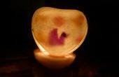 Valentins Tag Blume Blütenblatt Embedded Herzen leuchten: ein perfektes Geschenk