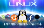 Wie installiere ich ein Linux-Betriebssystem auf Ihrem Chromebook