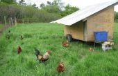 Mobile Hühnerstall mit einigen Automatisierung