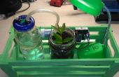 Arduino automatische Bewässerungssystem