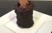 Schokolade Kuchen Aufnahmen