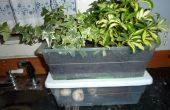 Schöne duftende Hybrid Indoor Biotonne und Pflanzer
