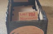 Karton Boot: Lady Nighthawks