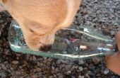 Hund Flasche Wasser / Wasser-Brunnen Flasche Füller Helfer