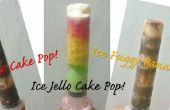 DIY-Eis-Kuchen-Push-Pops! Köstliche Variationen!!! 