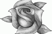 Zeichnung einer realistischen Rose