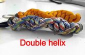Double Helix Schlüsselanhänger