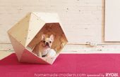 Hausgemachte modernen DIY geometrische Doghouse