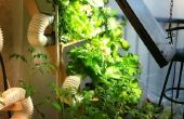 Ultimative vertikale Hydrokultur Farm auf die billige Tour... Geschenk Weg grünen Pflanzen! 