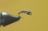 Fliegenfischen: Gewusst wie: binden Sie ein Zebra Midge