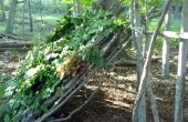 Wie erstelle ich einen angebauten Unterschlupf im Wald Abfallung