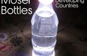 Tag und Nacht Zeit Beleuchtung für die Entwicklung von Gemeinschaften: Hybrid-Moser-Flaschen