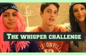 Die Whisper-Herausforderung