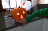Die gruseligsten, Arduino powered, blinken und schreien Halloween-Kürbis! 