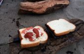 Gewusst wie: Make Berg Kuchen | Lagerfeuer-Sandwiches