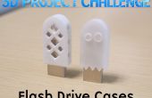 3D Projekt Challenge: Flash Drive Fällen