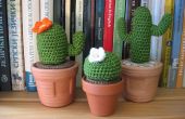 Kaktus-Familie