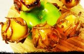 Trick or Treat Karamell Apfel beißt mit kandierten Speck und Mehlwürmer