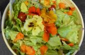 Orzo und Kapuzinerkresse Salat