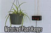 Motorisierte System zum Anheben und absenken, hängende Pflanzen